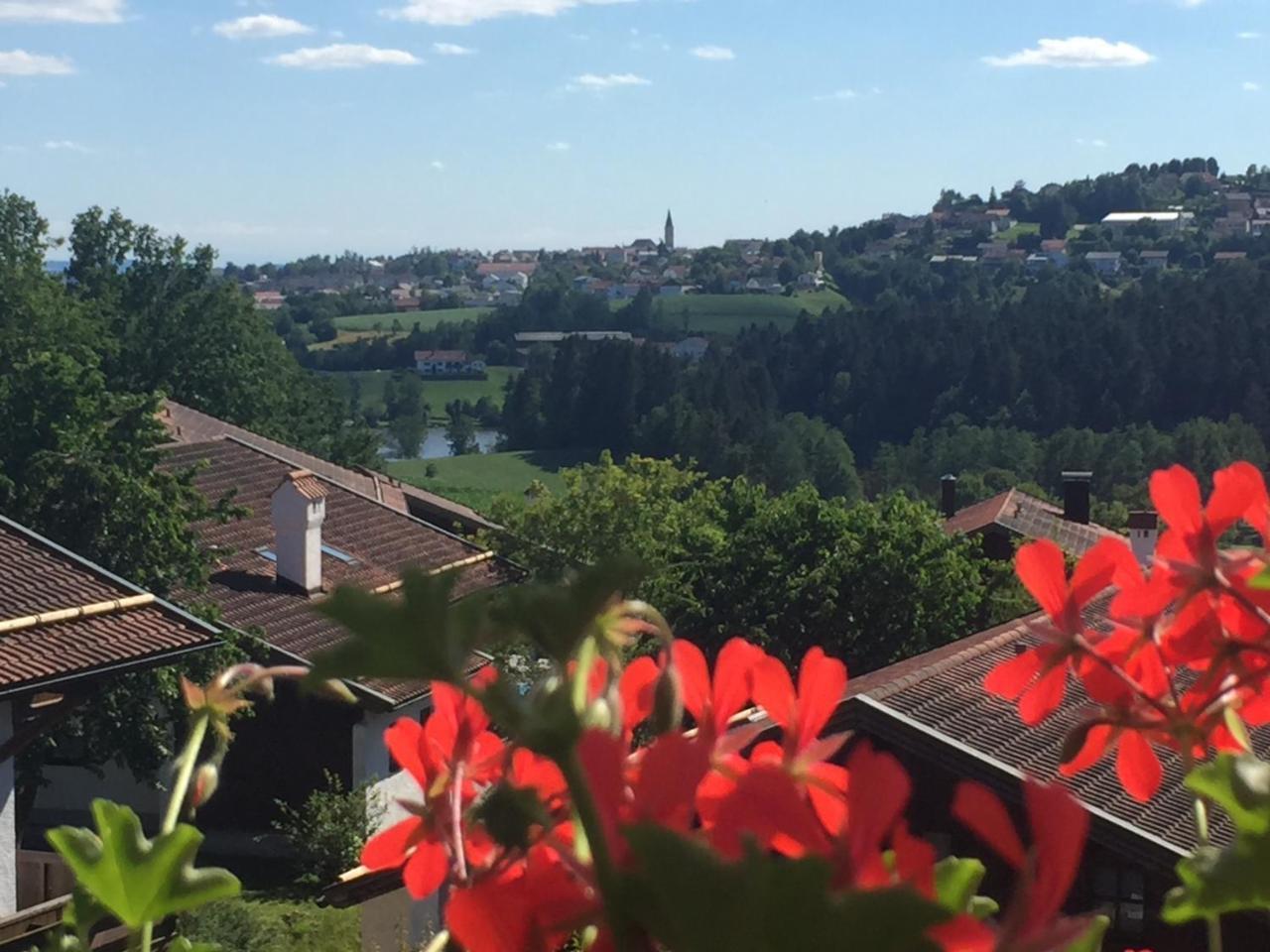 Ferienwohnung Waldblick هاوتسنبرغ المظهر الخارجي الصورة
